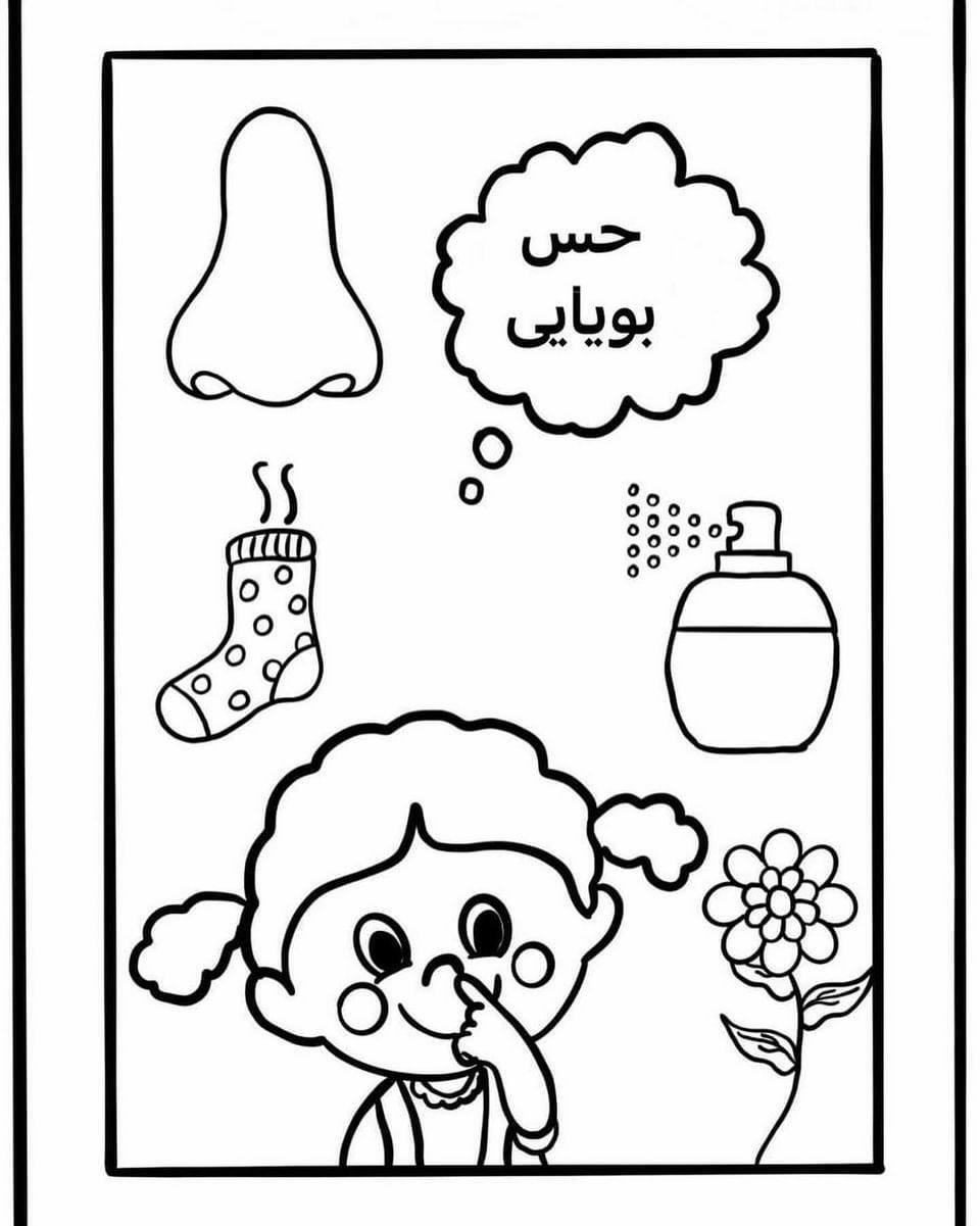 کاربرگ و نمونه سوال علوم اول ابتدایی