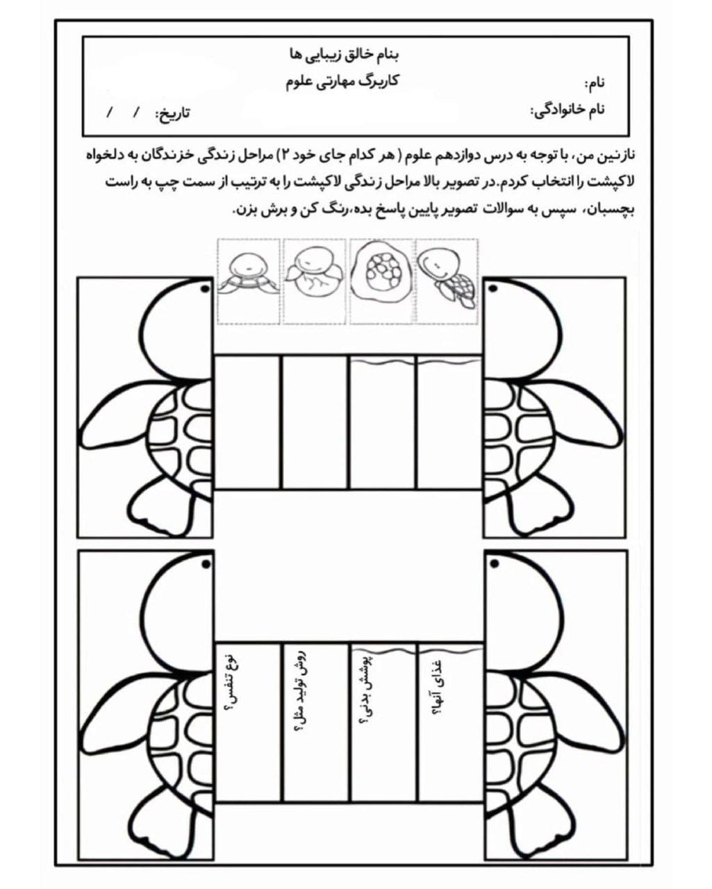 کاربرگ مراحل زندگی خزندگان علوم سوم دبستان