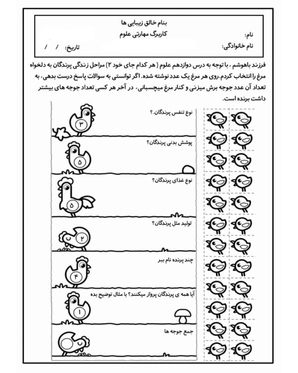 کاربرگ مراحل زندگی پرندگان علوم سوم دبستان