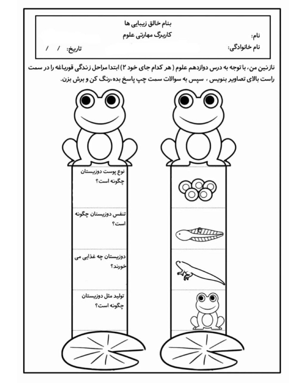 کاربرگ چرخه ی زندگی قورباغه علوم سوم دبستان