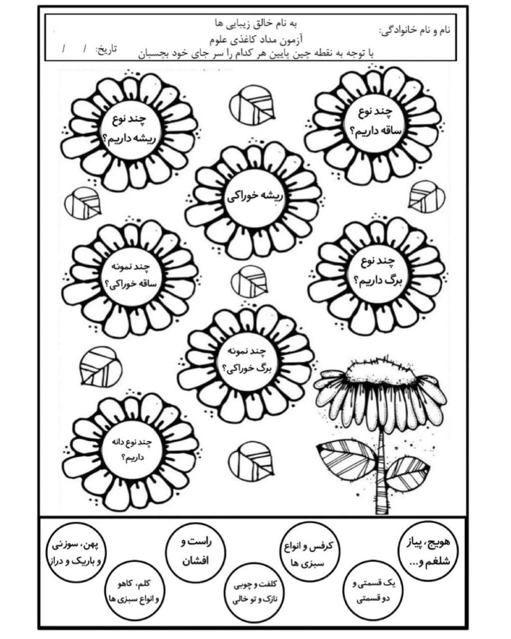 کاربرگ گیاهان علوم سوم دبستان