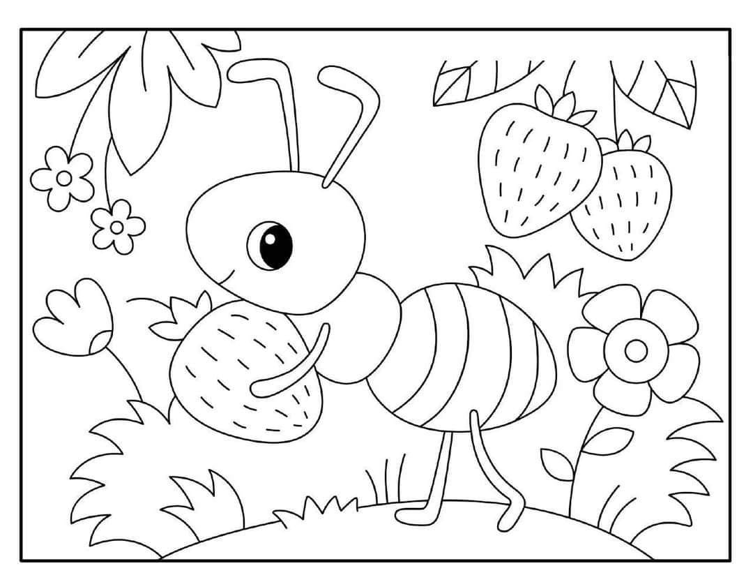 کاربرگ حشرات علوم پیش دبستان