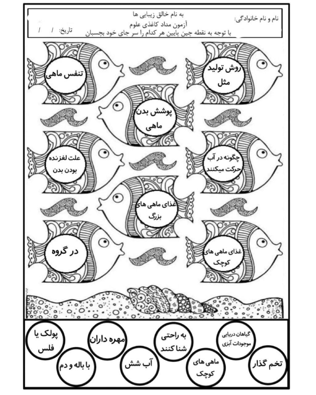 کاربرگ درس هرکدام جای خود درس دوازده علوم سوم دبستان