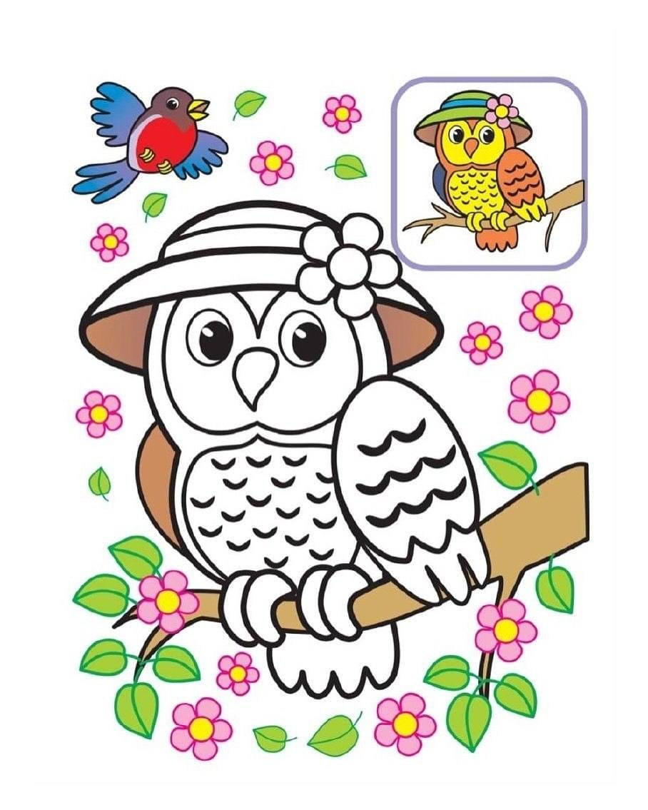 کاربرگ رنگ آمیزی با الگو ریاضی پیش دبستان