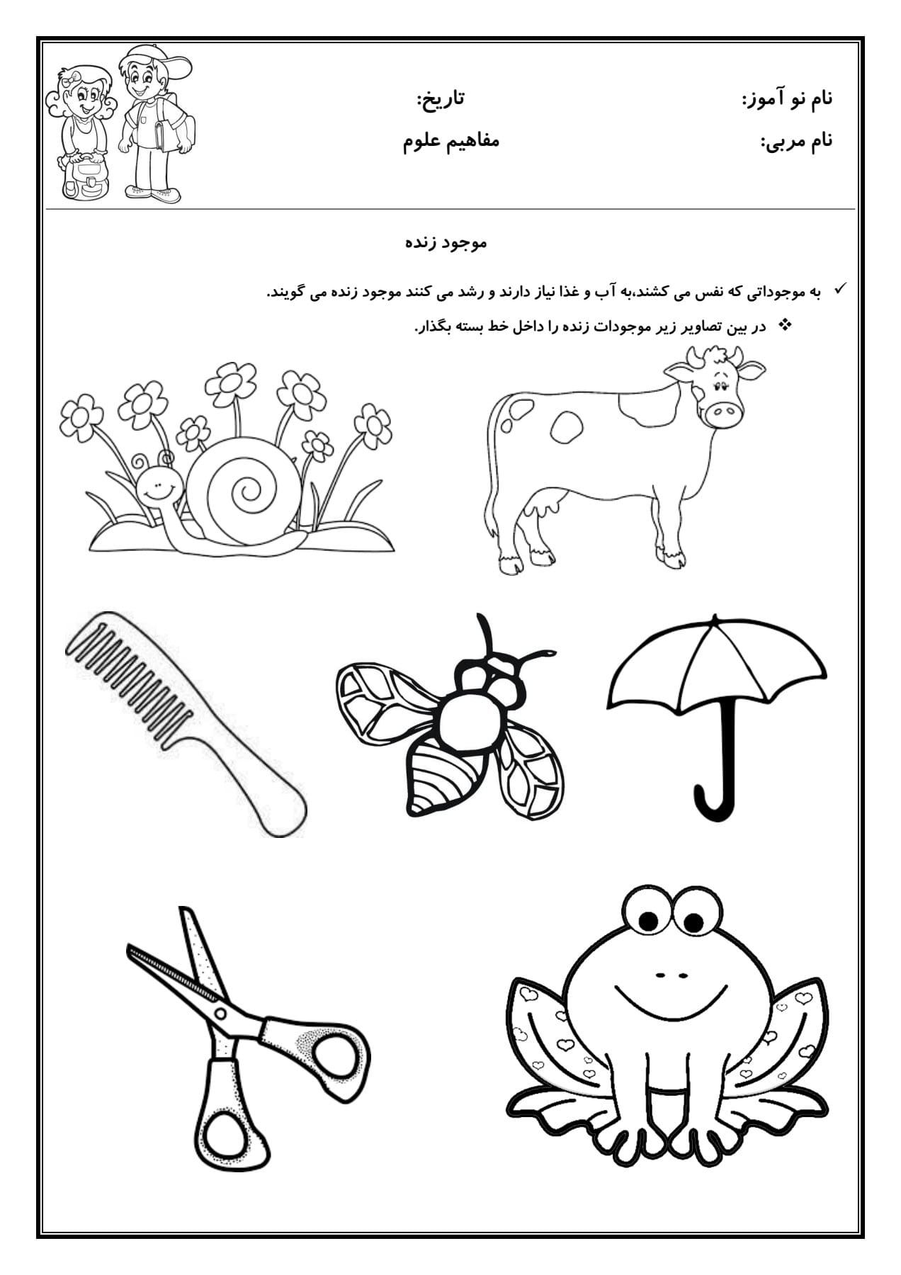 کاربرگ موجودات زنده علوم پیش دبستان