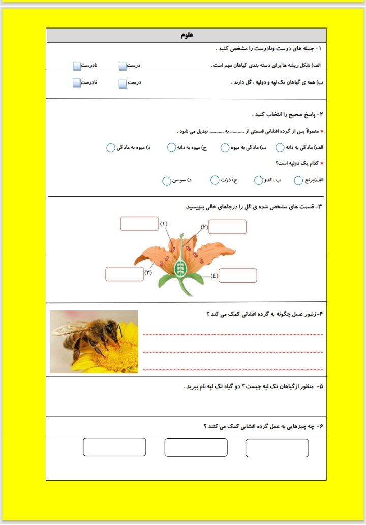 پیک هفتگی فروردین ماه چهارم ابتدایی
