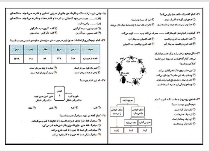 کاربرگ پیک هفتگی چهارم دبستان