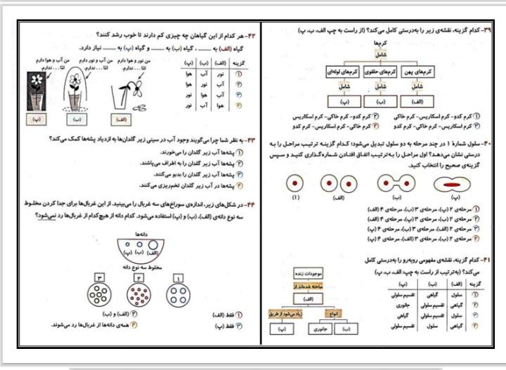کاربرگ پیک هفتگی چهارم دبستان
