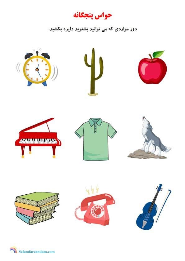 کاربرگ حواس پنج گانه علوم پیش دبستان