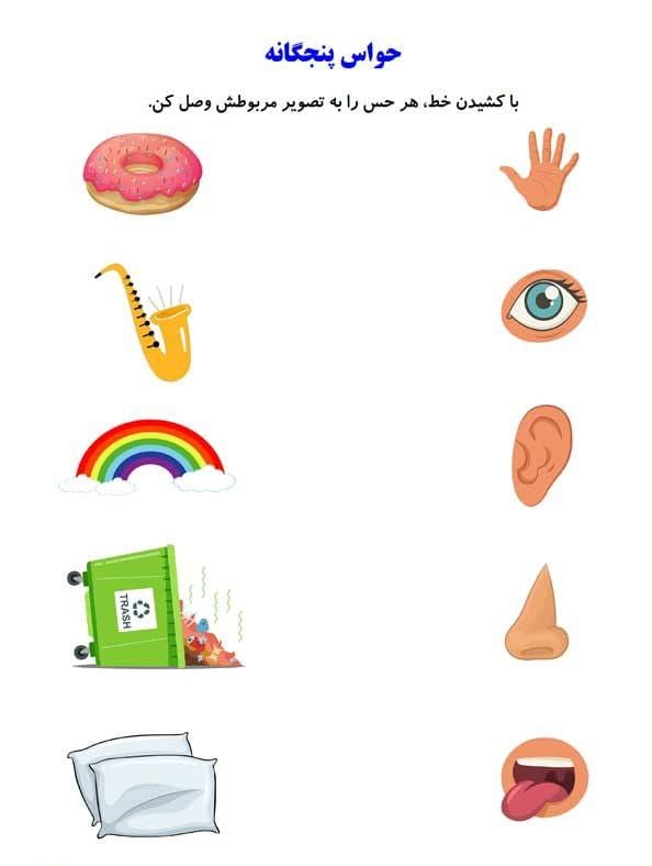 کاربرگ حواس پنجگانه علوم پیش دبستان