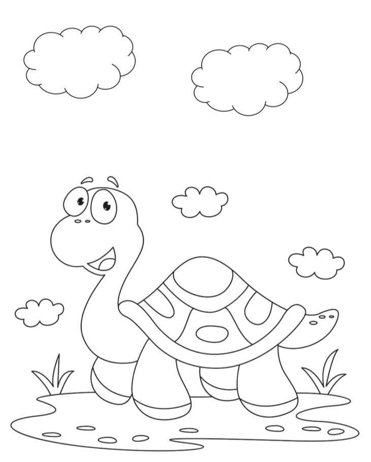 کاربرگ رنگ آمیزی لاک پشت علوم پیش دبستان