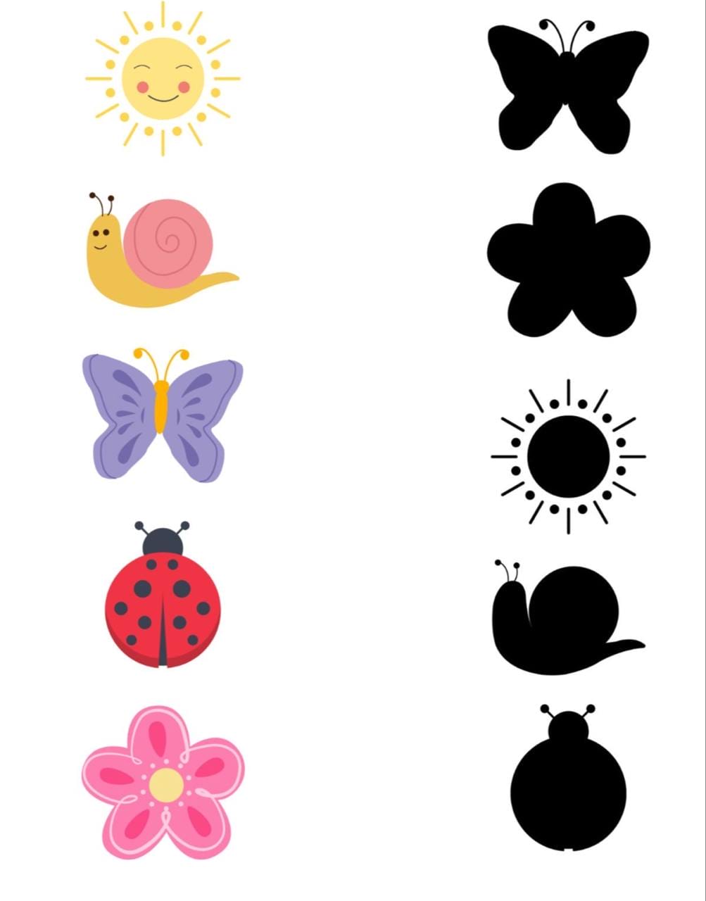 کاربرگ سایه ها علوم پیش دبستان