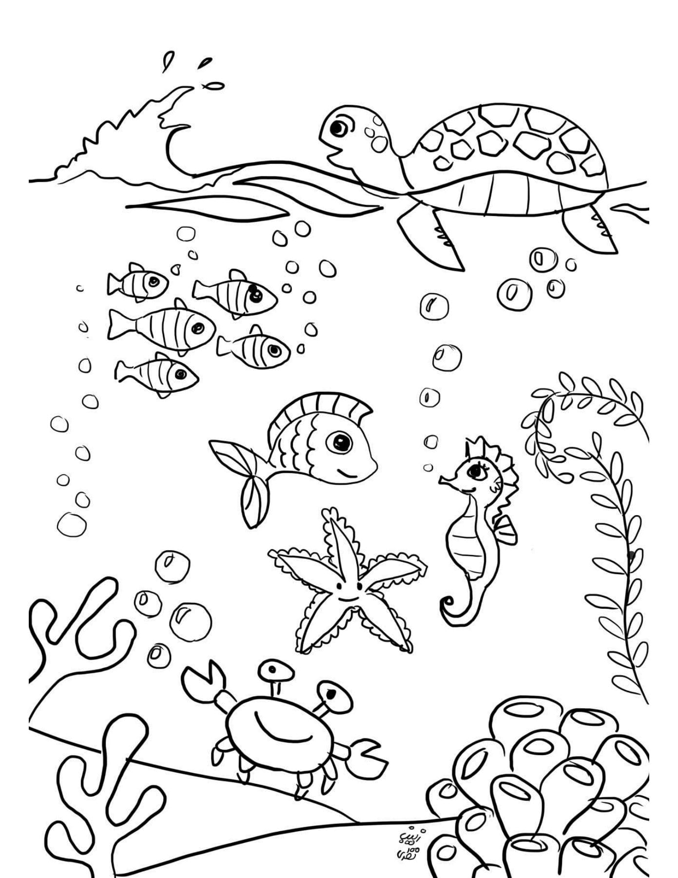 کاربرگ جانوران دریایی علوم پیش دبستان