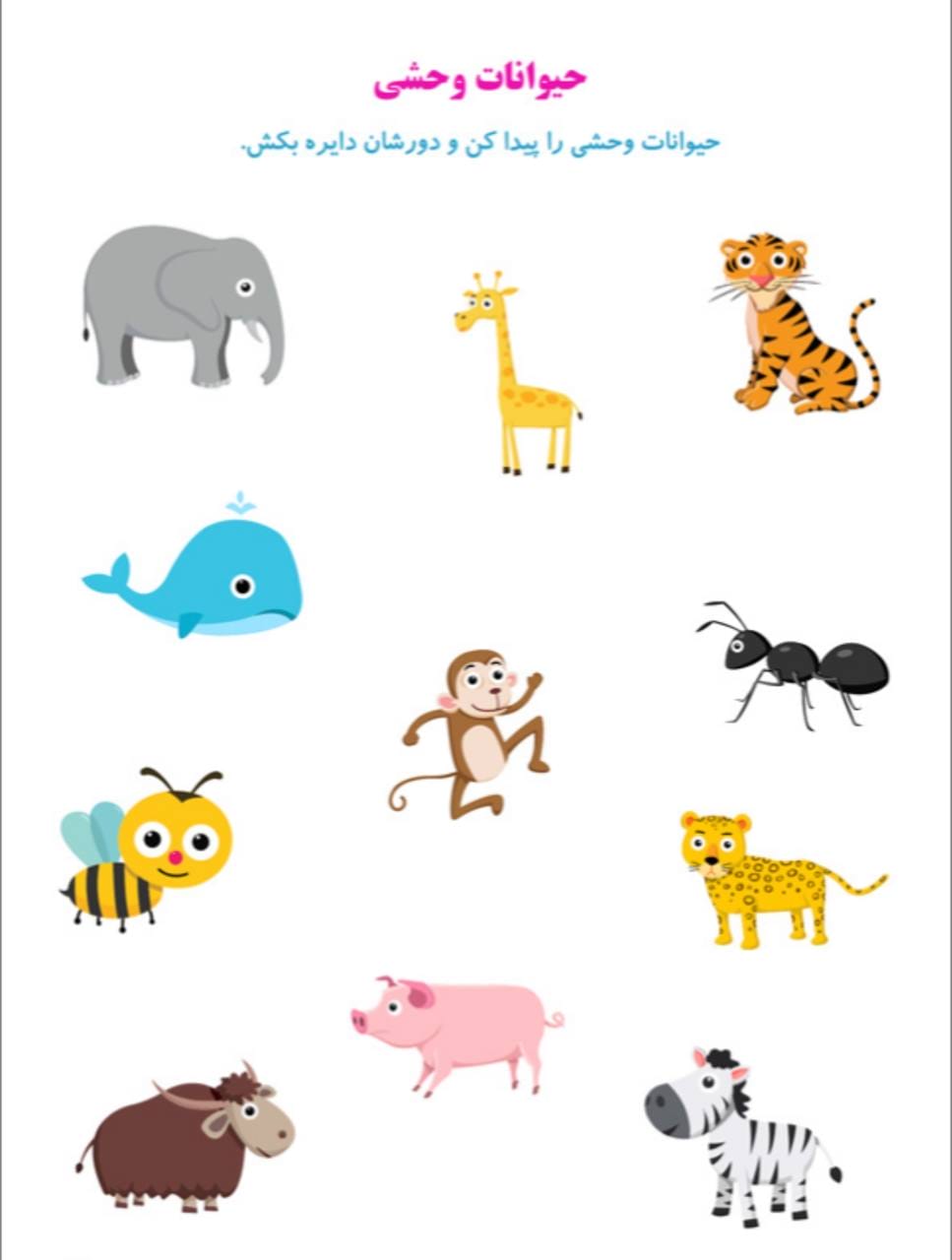 کاربرگ تمرین حیوانات غیر اهلی علوم پیش‌دبستان