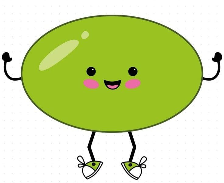 کاربرگ شکل بیضی ریاضی پیش دبستان