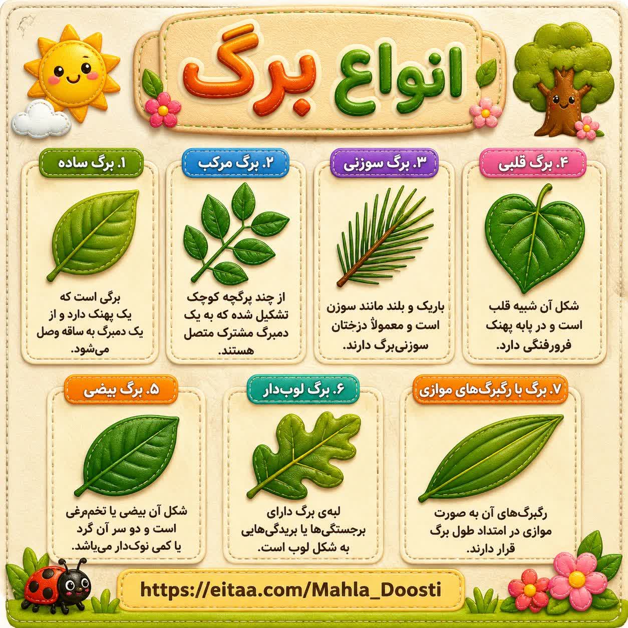 کاربرگ اینفوگرافیک انواع برگ علوم اول دبستان