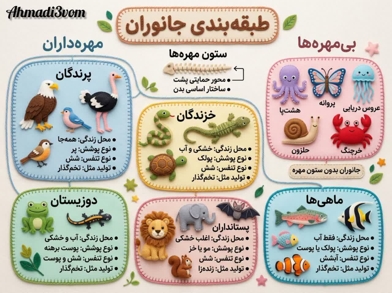 کاربرگ اینفوگرافیک طبقه بندی جانوران علوم سوم دبستان
