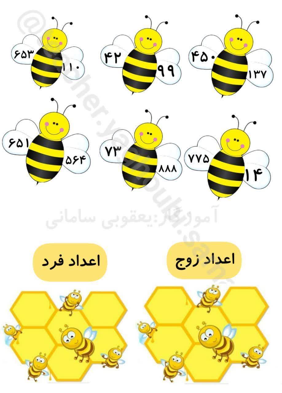 کاربرگ اعداد زوج و فرد زنبوری ریاضی دوم دبستان