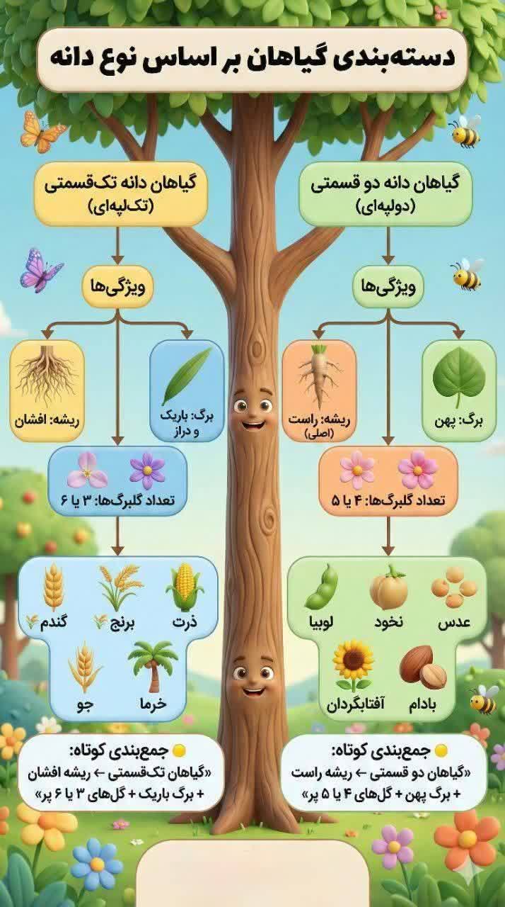 کاربرگ اینفوگرافیک دسته‌بندی دانه گیاهان علوم سوم ابتدایی