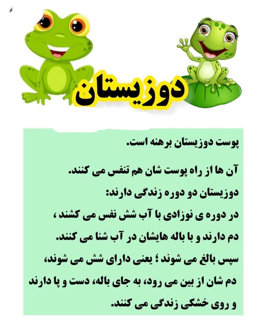 کاربرگ ویژگی‌ های دوزیستان علوم سوم دبستان