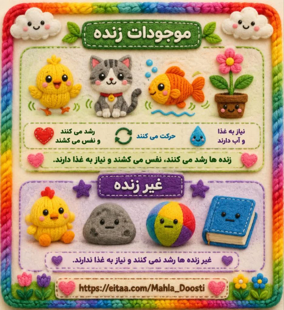 کاربرگ اینفوگرافیک موجودات زنده علوم اول دبستان