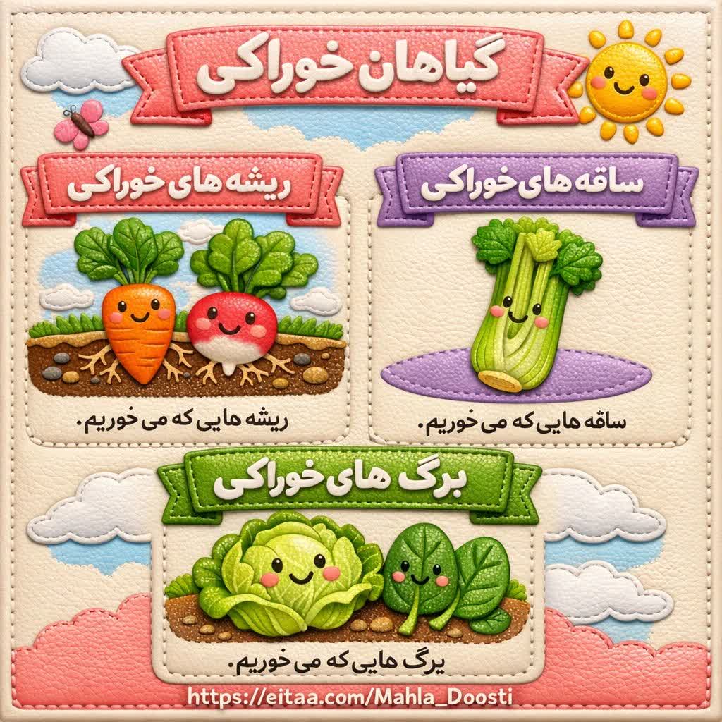 کاربرگ اینفوگرافیک گیاهان خوراکی علوم اول دبستان